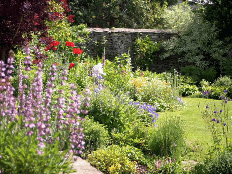 Summer Gardening Tips and Tricks