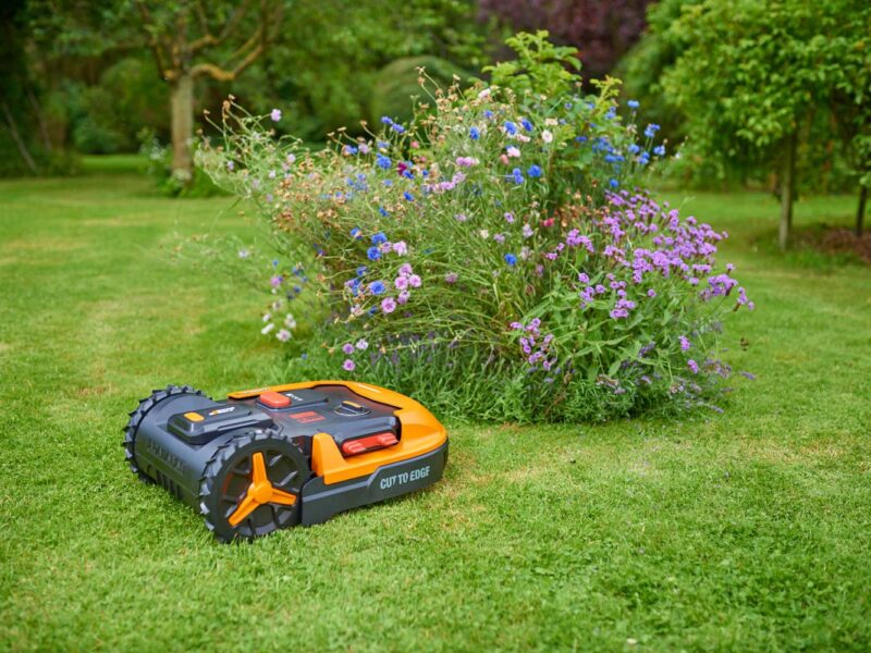 WORX Guide to Choosing and Using Robotic Lawn Mowers