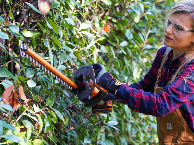 Ditch the Cord, Tame the Hedge: Why Cordless is King for UK Gardeners