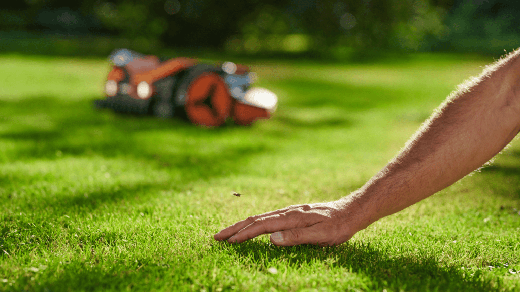 The Unexpected Perk of Robotic Lawn Mowers Every UK Homeowner Should Know
