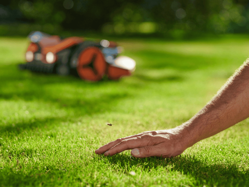The Unexpected Perk of Robotic Lawn Mowers Every UK Homeowner Should Know