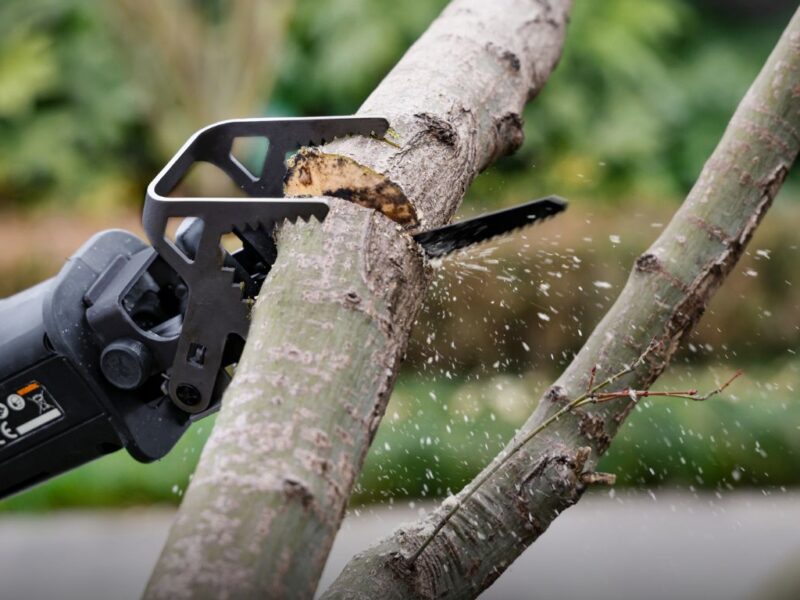 Why Your Garden and Home Projects Need a Compact Cutting Solution